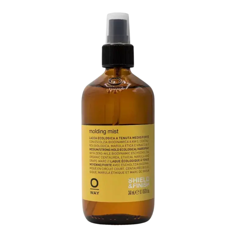 Sofort Bestellen Oway Molding Mist 240ml