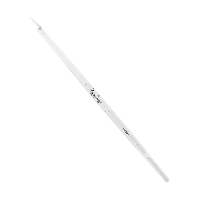 Peggy Sage High Tech Brush Nail Art Tip Bestseller