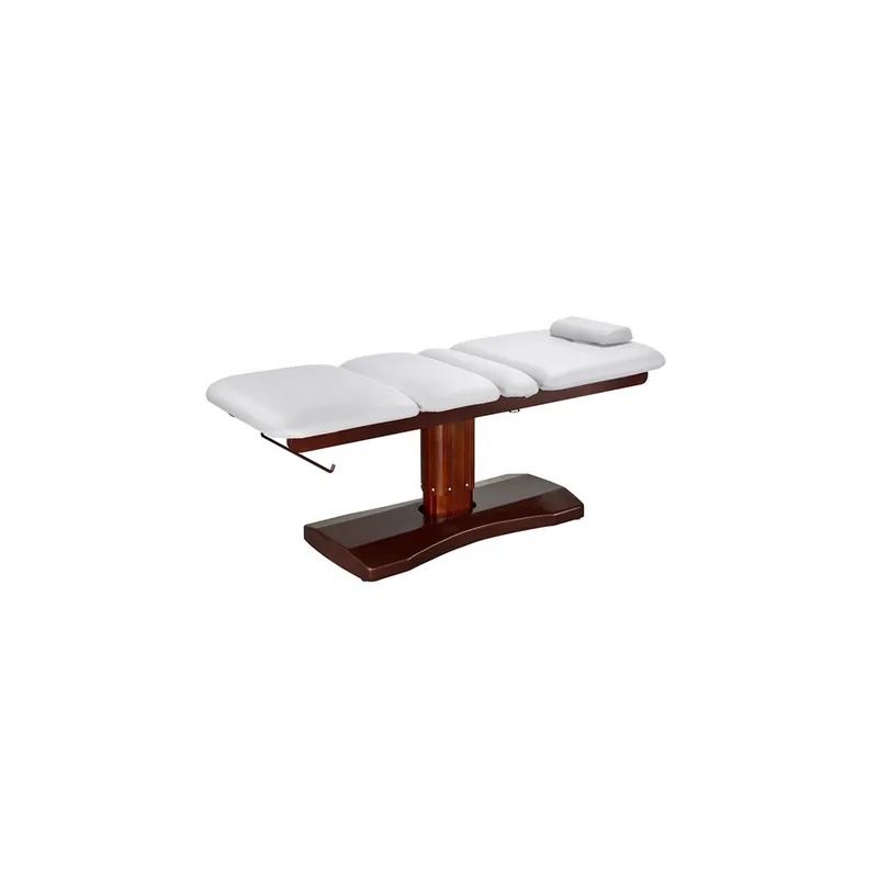 Silverfox Massageliege 515 E-3 SF Preisreduziert