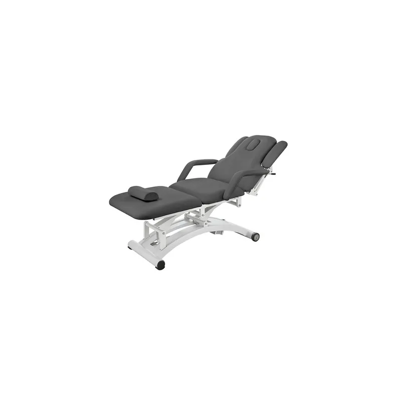 Echt Silverfox Massageliege 2241 VE-3 SF grau