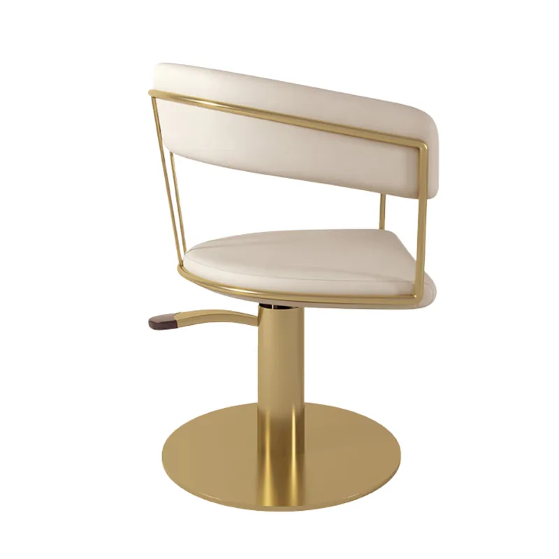Hairdresser Chair Posh 1307 VZ Gold Schneller Versand