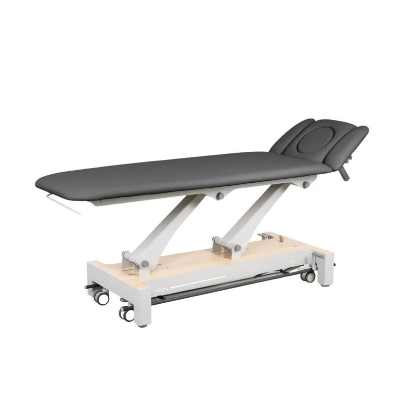 Naggura Nuuna 4L Pro Physiotherapy Table Bestpreis