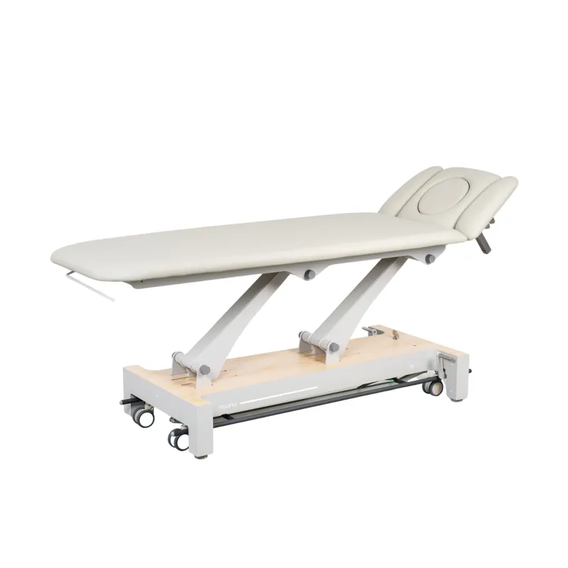 Echt Naggura Nuuna 4L Pro Physiotherapy Table