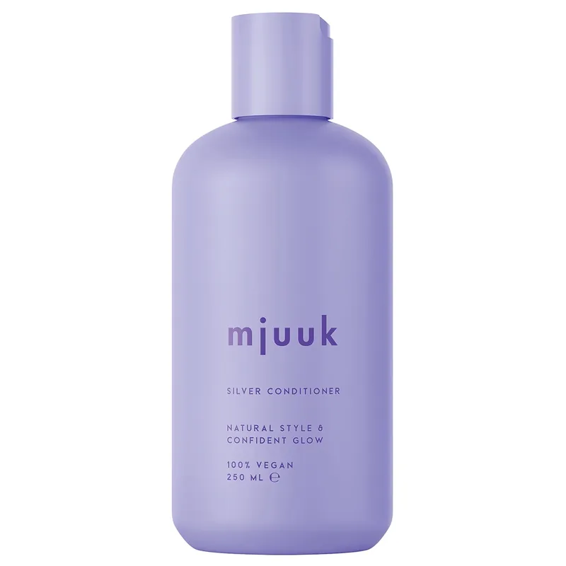 Silver Conditioner Conditioner 250 ml Saisonangebot
