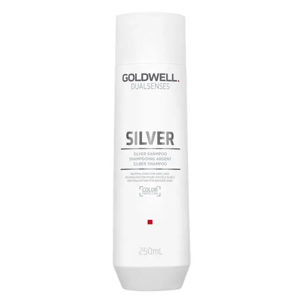 Versand Am Gleichen Tag Dualsenses Silver Shampoo Shampoo 250 ml