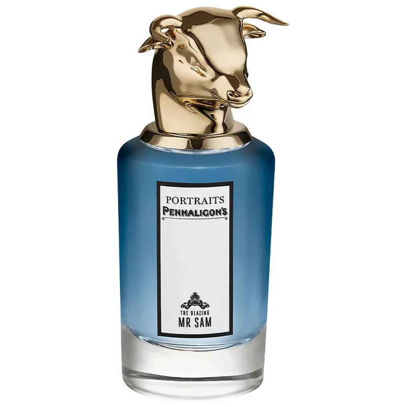 Super-Preis Portraits The Blazing Mister Sam Eau de Parfum Eau de Parfum 75 ml