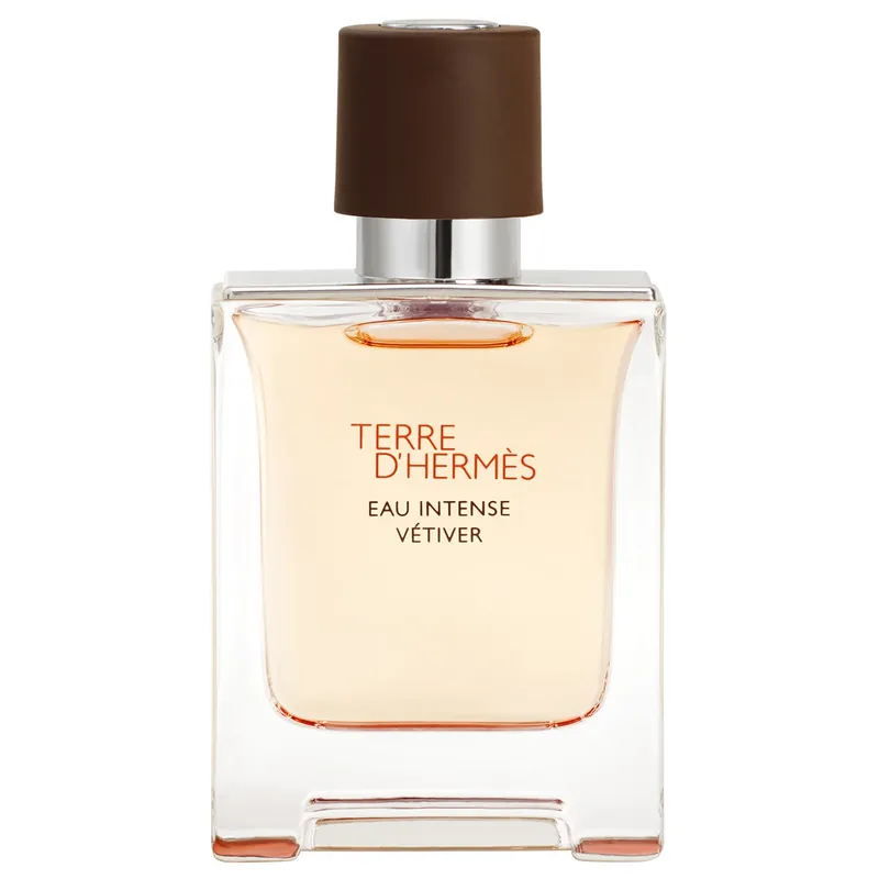 Bestpreis Terre d’Hermès Eau Intense Vétiver Eau de Parfum Eau de Parfum 50 ml