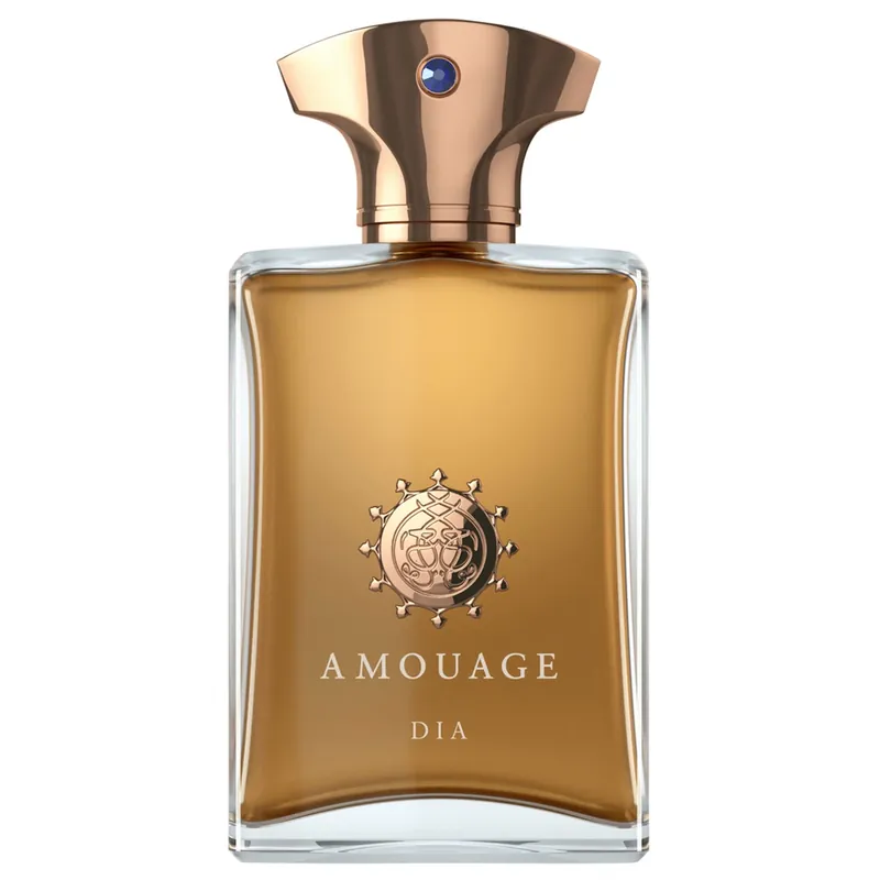 Iconic Dia Man Eau de Parfum Eau de Parfum 100 ml Bestseller
