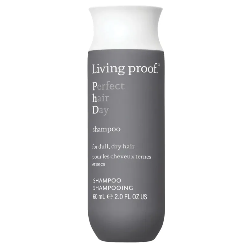 Echt Perfect hair Day Shampoo Shampoo 60 ml