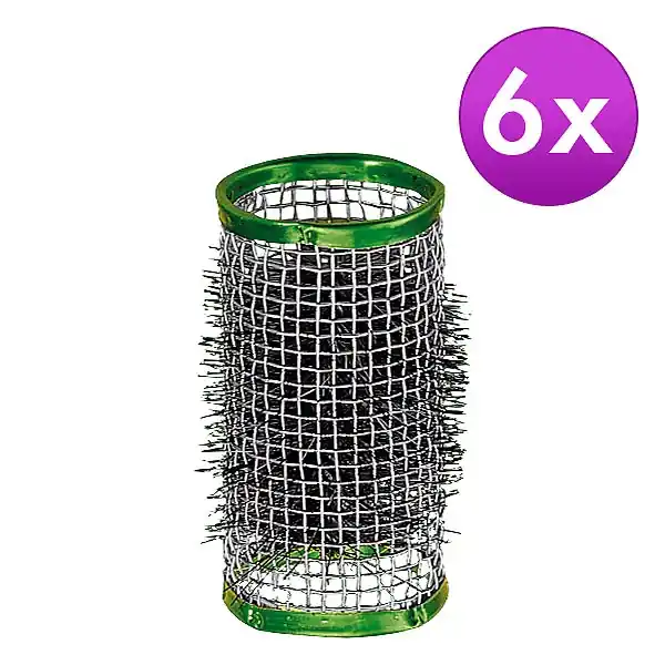Drahthaarwickler mit Borsten Drahthaarwickler Rot, Ø 36 mm, Pro Packung 6 Stück Beliebt