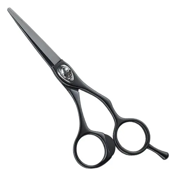 Haarschere Black Titanium Haarschere 5" Nur Für Kurze Zeit