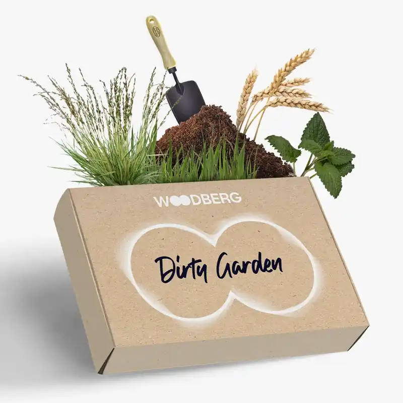 Dirty Garden – Fragrance Box Sale
