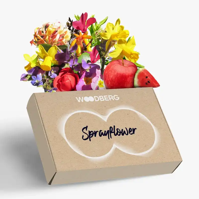 Nur Für Kurze Zeit Sprayflower – Fragrance Box