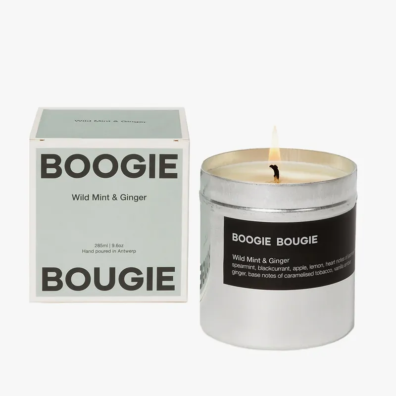Geprüft Wild Mint & Ginger – Soy Candle