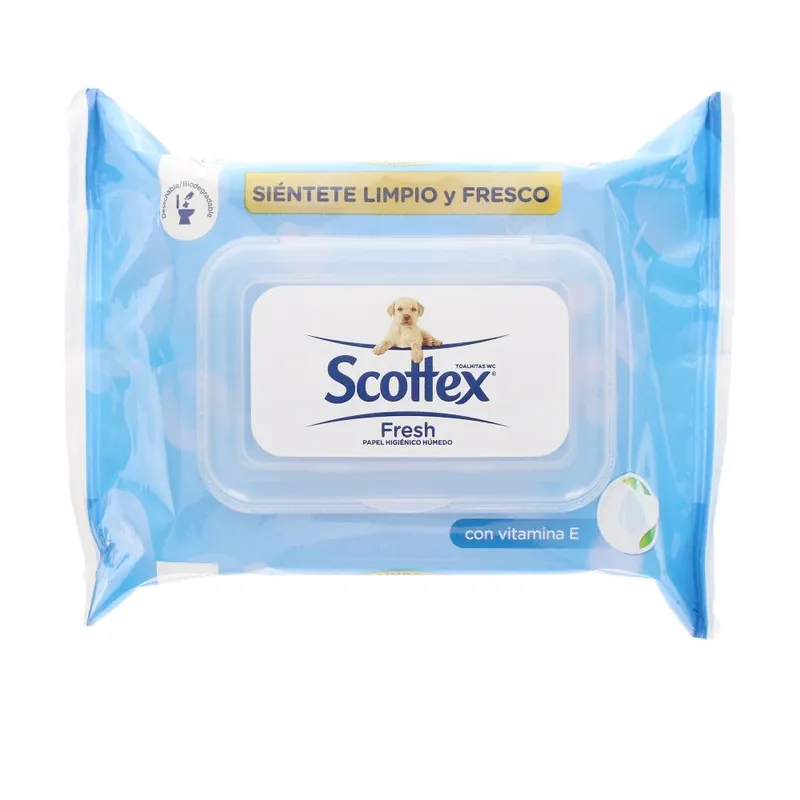 Ausverkauf Scottex SCOTTEX Original nasses Toilettenpapier von