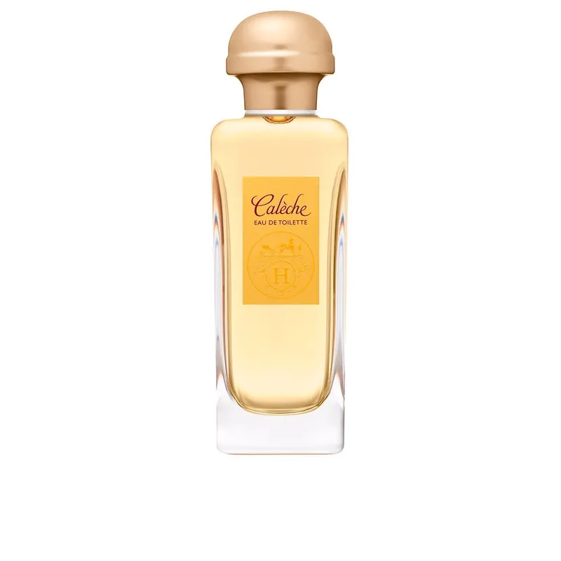 Beliebt HERMÈS CALÈCHE